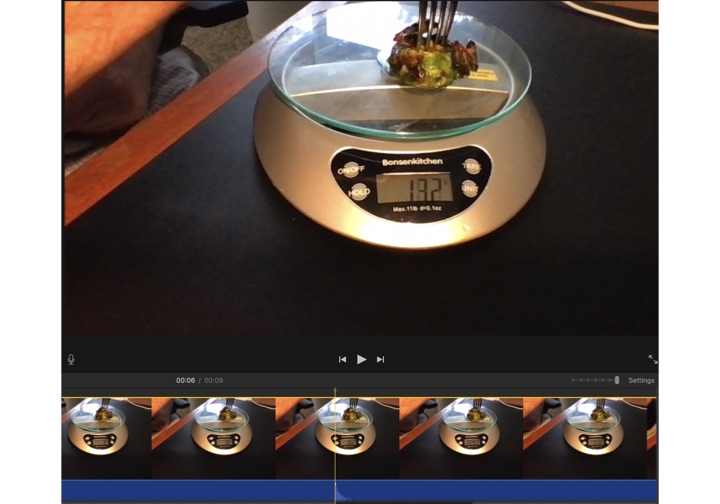 A video editor showing a fork pressed through a Brussels sprout on a kitchen scale reading 132 g, with the audio waveform below spiking at the moment the fork hits the glass.