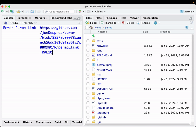 The RStudio console showing the prompt “Enter Perma Link:” followed by a pasted GitHub permalink ending in R/perma_link.R#L10.